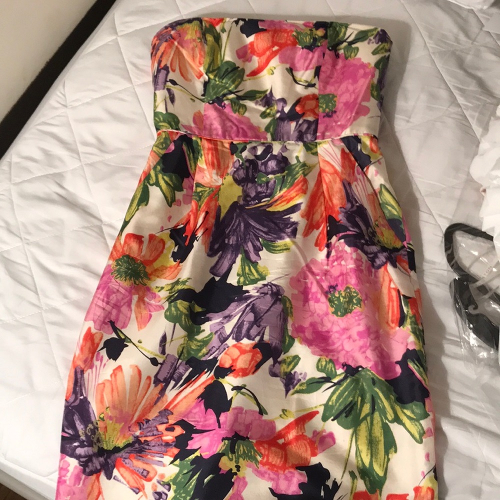 J. Crew dress